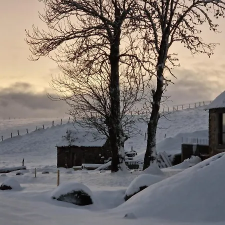 La Ferme De Jouane * Besse-et-Saint-Anastaise