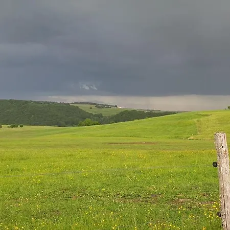 La Ferme De Jouane * Besse-et-Saint-Anastaise