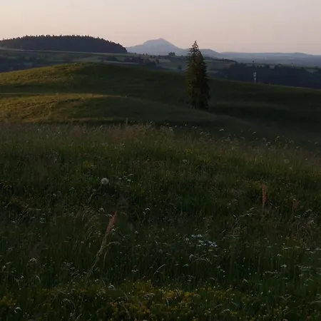 La Ferme De Jouane * Besse-et-Saint-Anastaise