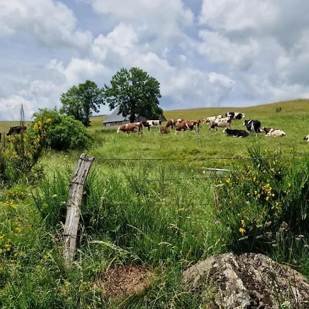 La Ferme De Jouane