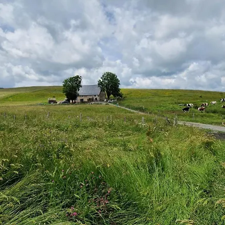 Casa de Férias La Ferme De Jouane Besse-et-Saint-Anastaise