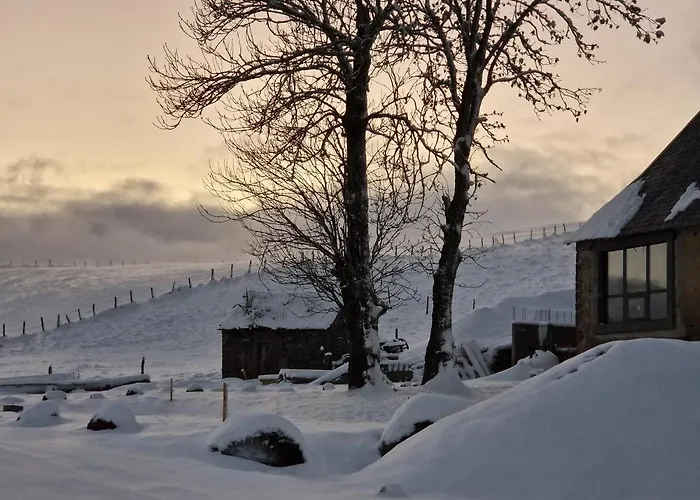 La Ferme De Jouane * Besse-et-Saint-Anastaise